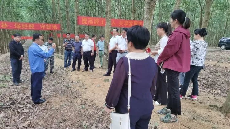 全國割膠冠軍張健給各單位學(xué)員做標(biāo)準(zhǔn)化膠園建設(shè)及割膠技術(shù)的經(jīng)驗介紹。.jpg